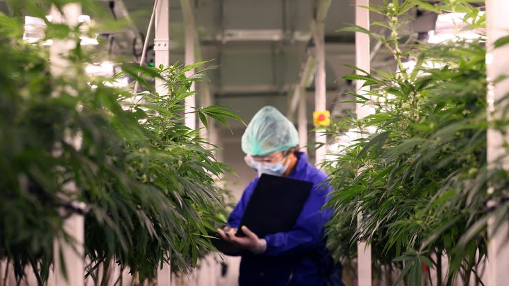 Compliance and METRC Systems